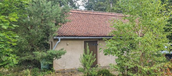 4 rooms House in Wittenberg, Germany No. 349687 8