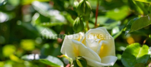 6 Schlafzimmer Villa in San Colombano Certenoli, Italy, Nr. 307375 30