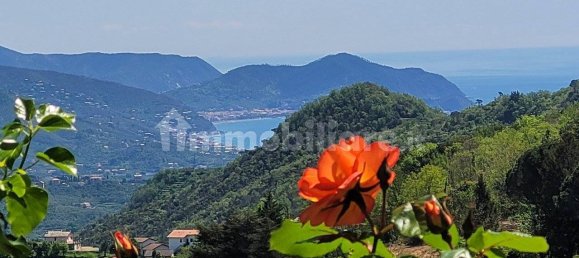 6 Schlafzimmer Villa in San Colombano Certenoli, Italy, Nr. 307375 2