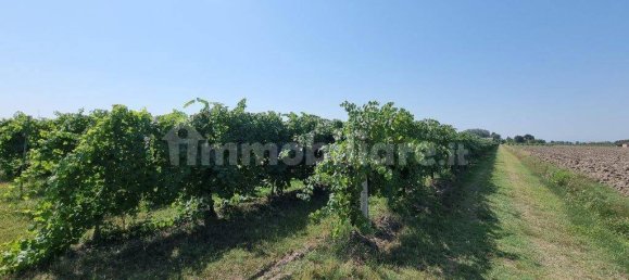 25000m² Land in Soliera, Italy No. 153324 6