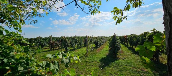 25000m² Land in Soliera, Italy No. 153324 2