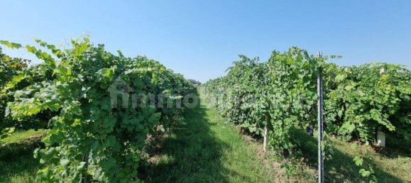 25000m² Land in Soliera, Italy No. 153324 4
