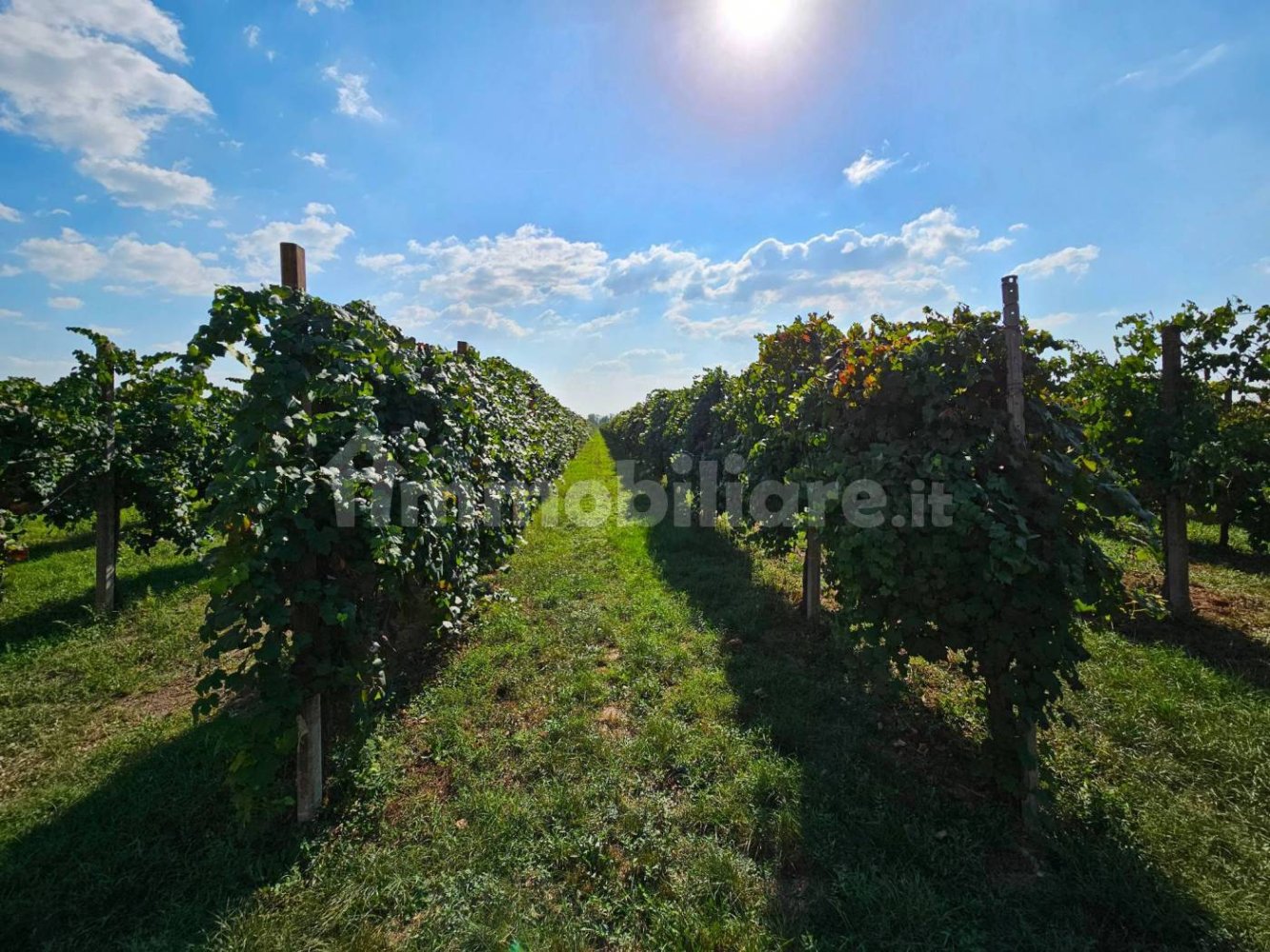 25000m² Land in Soliera, Italy No. 153324