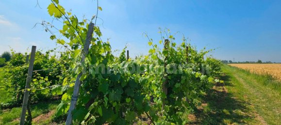 25000m² Land in Soliera, Italy No. 153324 7