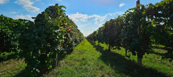 25000m² Land in Soliera, Italy No. 153324 3