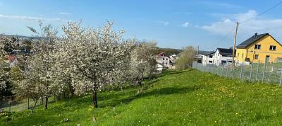  قطعة أرض في Ilm-Kreis, Germany 1161متر مربع رقم 229204 2