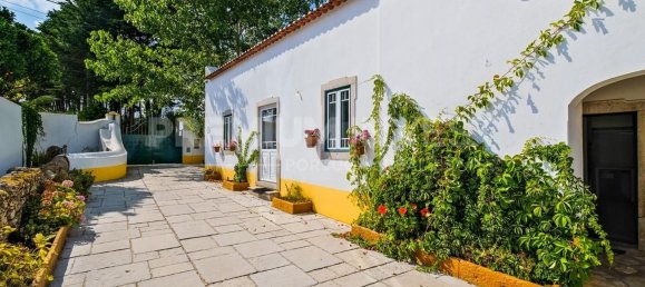 6 غرف نوم منزل في Bombarral, Portugal رقم 131605 20