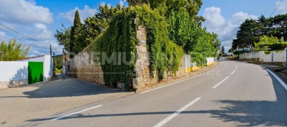 6 غرف نوم منزل في Bombarral, Portugal رقم 131605 49