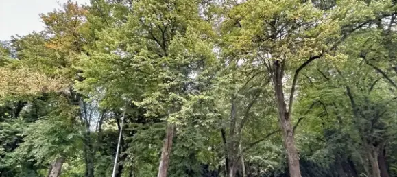 2 غرف نوم شقة في Rostock, Germany رقم 361244 22