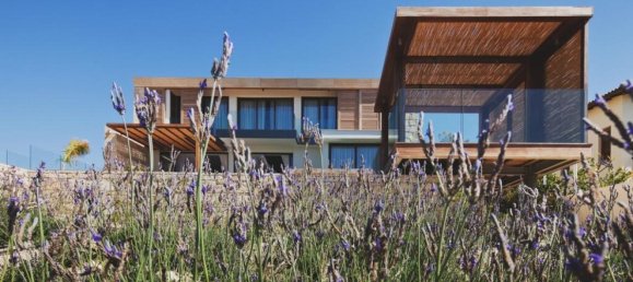 Studio in Paphos, Cyprus, Nr. 13166 2