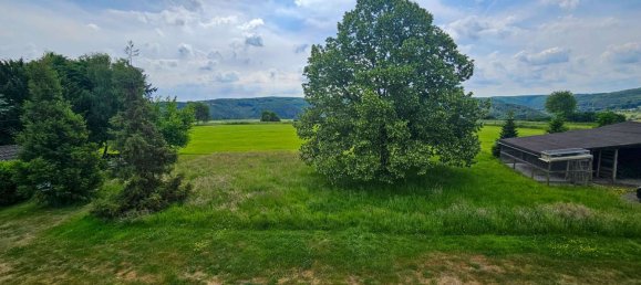 Дом с 8 комнатами в Рейн-Зиг, Германия № 233017 3