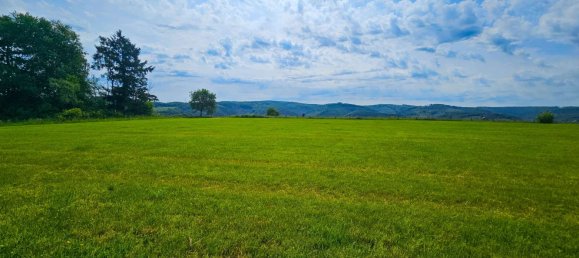 Дом с 8 комнатами в Рейн-Зиг, Германия № 233017 12