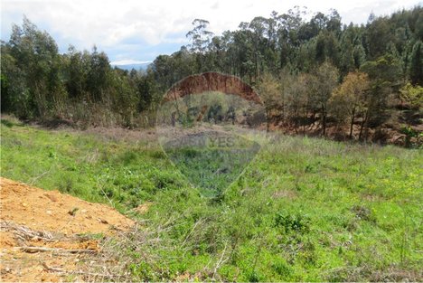 6629m² Land in Valongo do Vouga, Portugal No. 73855