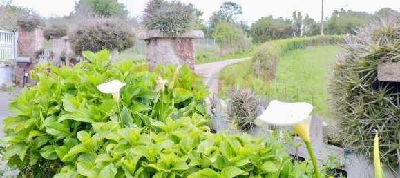 7 bedrooms House in Colunga, Spain No. 76365 14