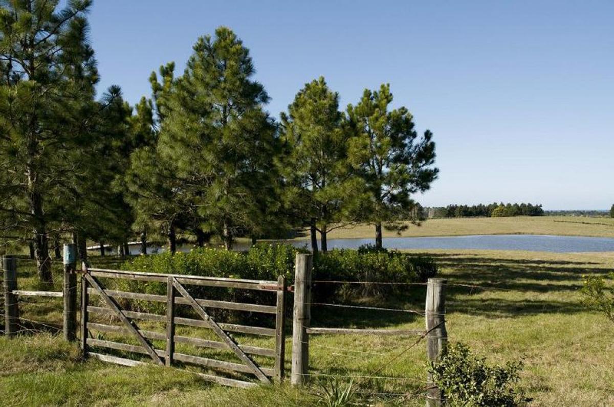  مزرعة في Maldonado, Uruguay رقم 15069