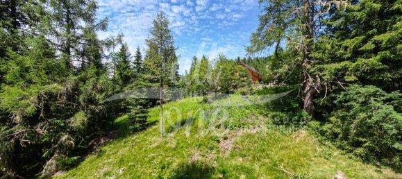  Land in Glodnitz, Austria No. 133064 3