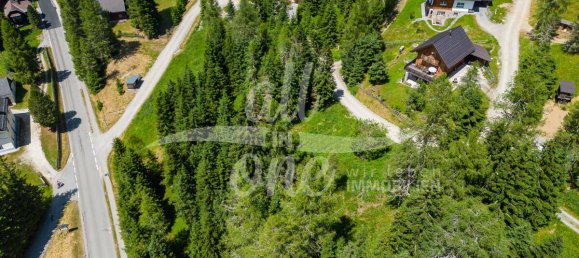  Land in Glodnitz, Austria No. 133064 5