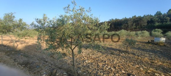 Terreno en Passos, Portugal 32074 m² No. 190467 2