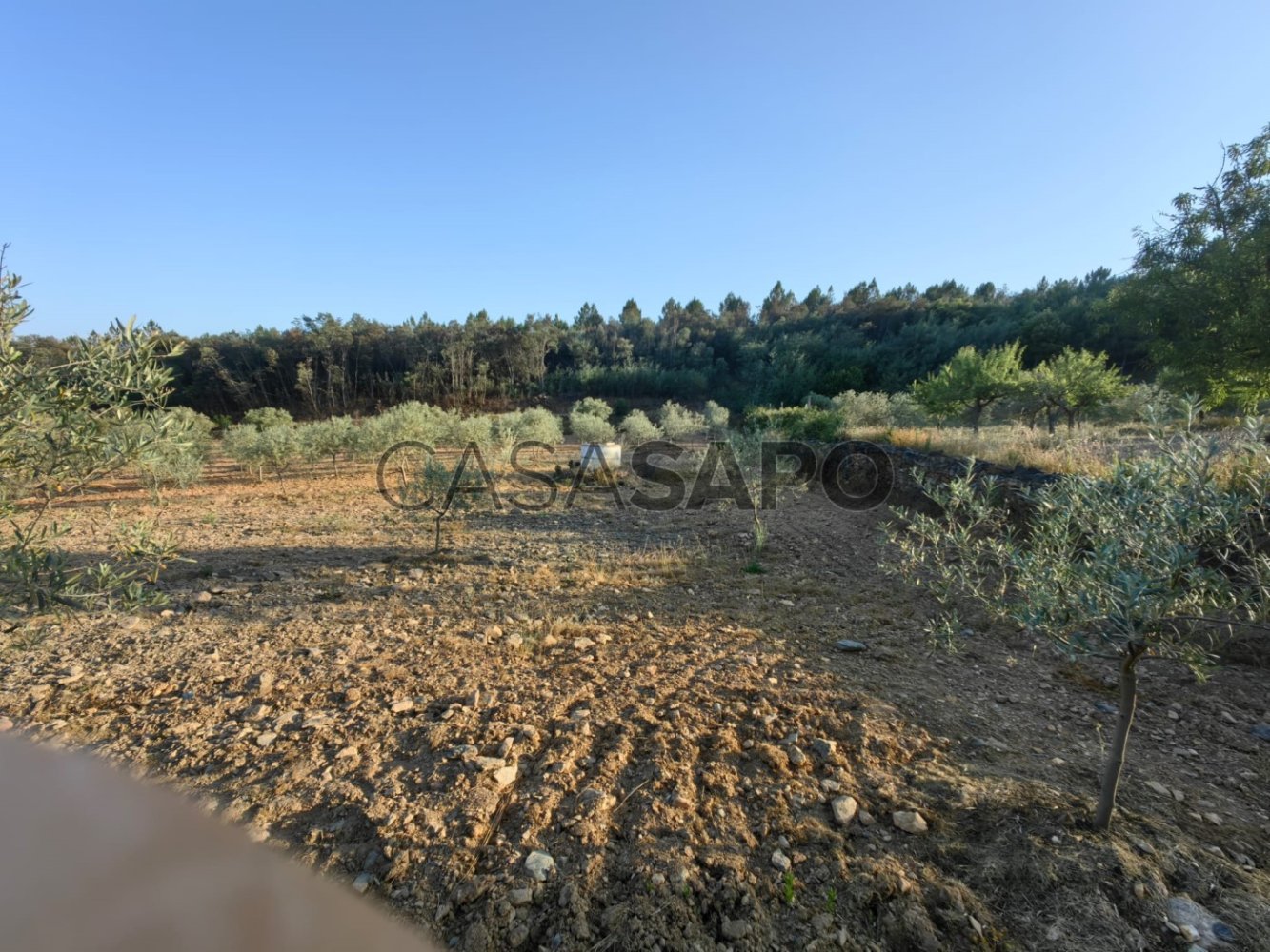 Terreno en Passos, Portugal 32074 m² No. 190467