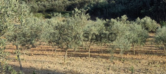 Terreno en Passos, Portugal 32074 m² No. 190467 5