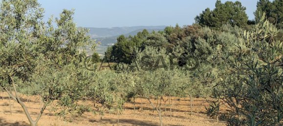 Terreno en Passos, Portugal 32074 m² No. 190467 3