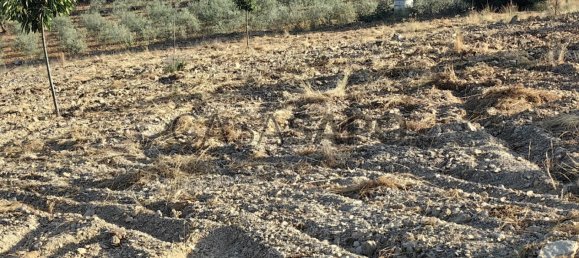 Terreno en Passos, Portugal 32074 m² No. 190467 6