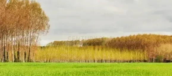 Terrain à Barcelona, Spain 730m² No. 157197 26