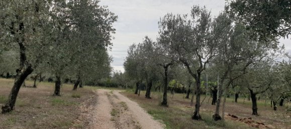 6غرفة فيلا في Lugnano in Teverina, Italy رقم 125172 11