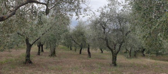 6غرفة فيلا في Lugnano in Teverina, Italy رقم 125172 12