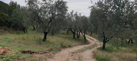 6غرفة فيلا في Lugnano in Teverina, Italy رقم 125172 10