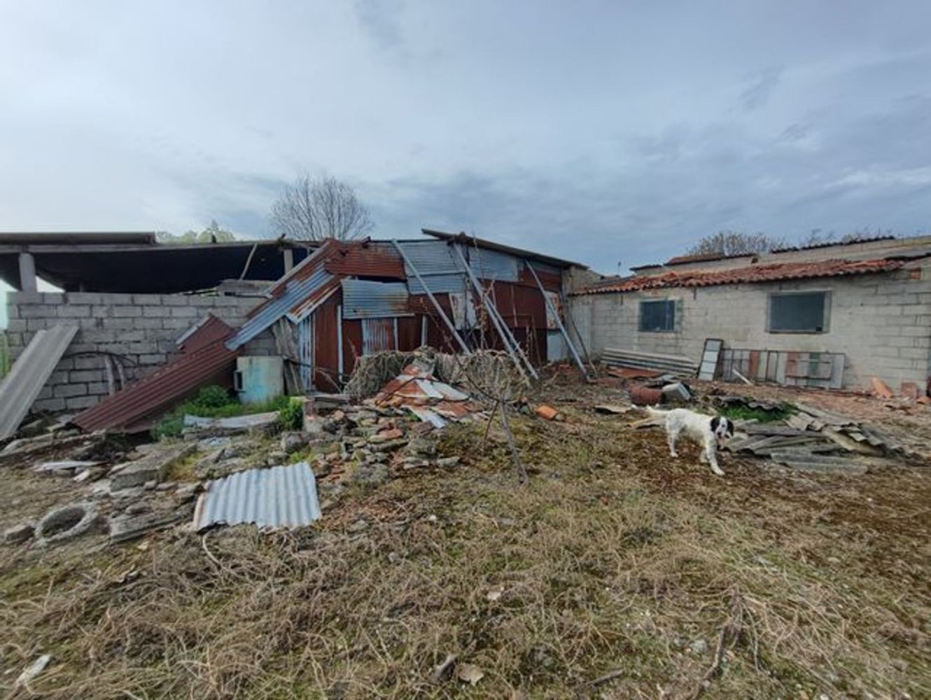 1 bedroom House in Boara Pisani, Italy No. 344897