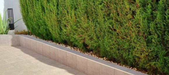 3 bedrooms Villa in Ciudad Quesada, Spain No. 176038 22