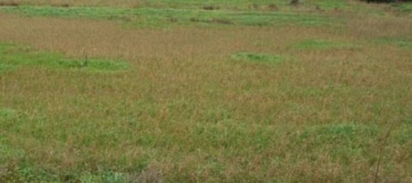 Земельный участок 7880м² в Корчано, Италия № 373439 2