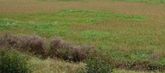 Земельный участок 7880м² в Корчано, Италия № 373439 16