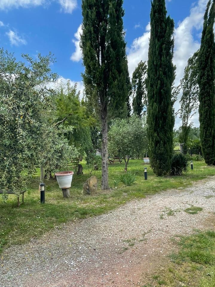 7-salle Villa à Terricciola, Italy No. 40415