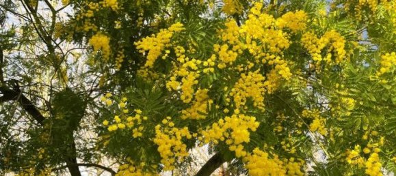 7-salle Villa à Terricciola, Italy No. 40415 7