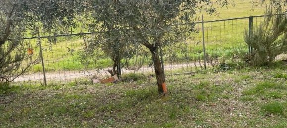 7-salle Villa à Terricciola, Italy No. 40415 2