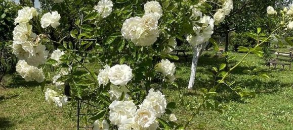 7-salle Villa à Terricciola, Italy No. 40415 10