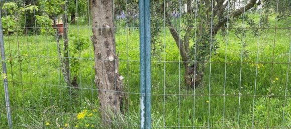 7-salle Villa à Terricciola, Italy No. 40415 9