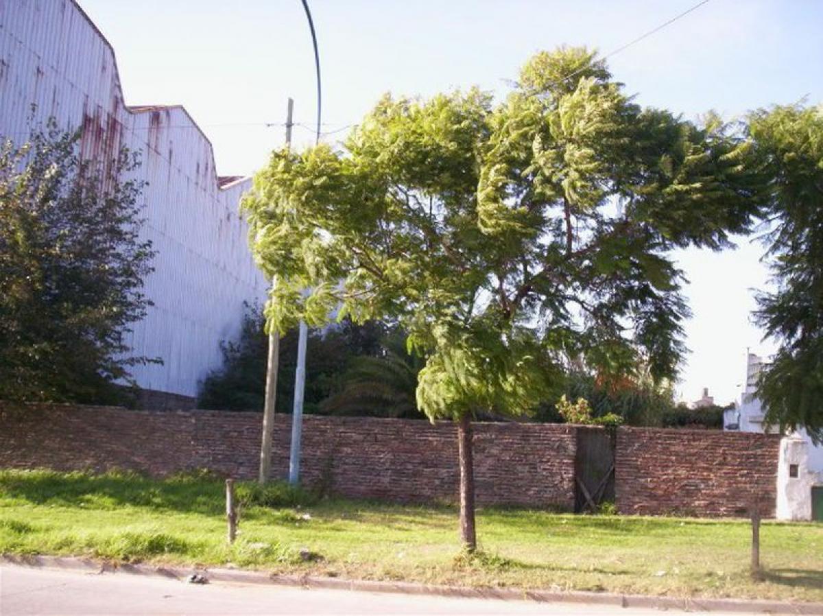 Land in Lanus, Argentina No. 36937