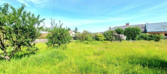 Бунгало с 3 комнатами в Эггенбург, Австрия № 238404 7