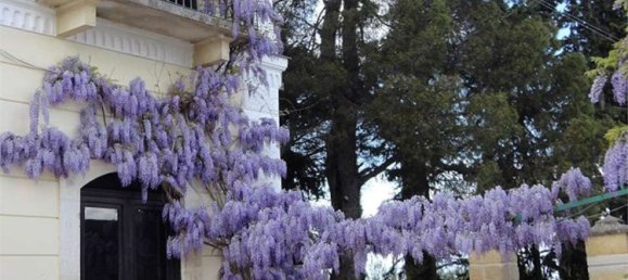 20 rooms Villa in Canosa di Puglia, Italy No. 118518 28