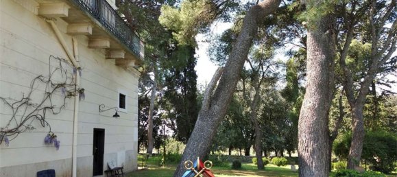 20 rooms Villa in Canosa di Puglia, Italy No. 118518 30