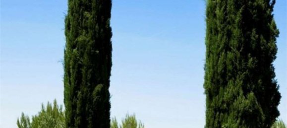 20 rooms Villa in Canosa di Puglia, Italy No. 118518 21