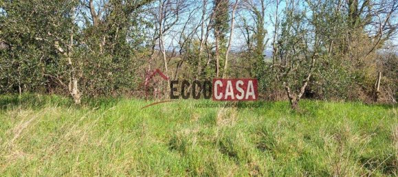 2860m² Land in Casciana Terme Lari, Italy No. 81781 5