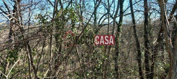 2860m² Land in Casciana Terme Lari, Italy No. 81781 9