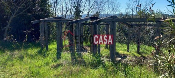 2860m² Land in Casciana Terme Lari, Italy No. 81781 7