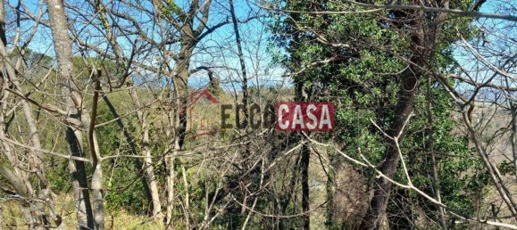 2860m² Land in Casciana Terme Lari, Italy No. 81781 8