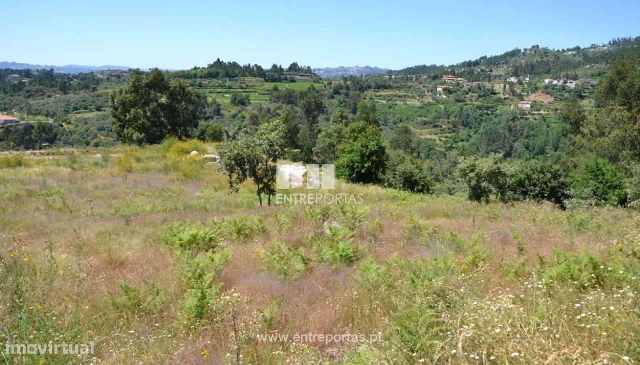 10300m² Land in Marco de Canaveses, Portugal No. 59602