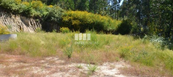 10300m² Land in Marco de Canaveses, Portugal No. 59602 7